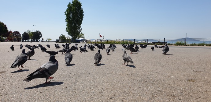 Herkes çalışırken sahilde tek başına spor yapmayı sever misiniz?