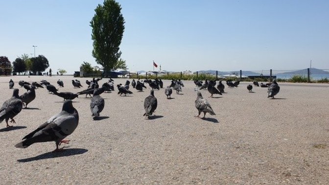Herkes çalışırken sahilde tek başına spor yapmayı sever misiniz?