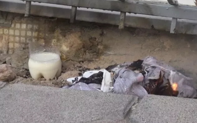 Sultangazideki yılan paniğe neden oldu! Sokakta yılanla karşılaşsaydınız ne yapardınız?