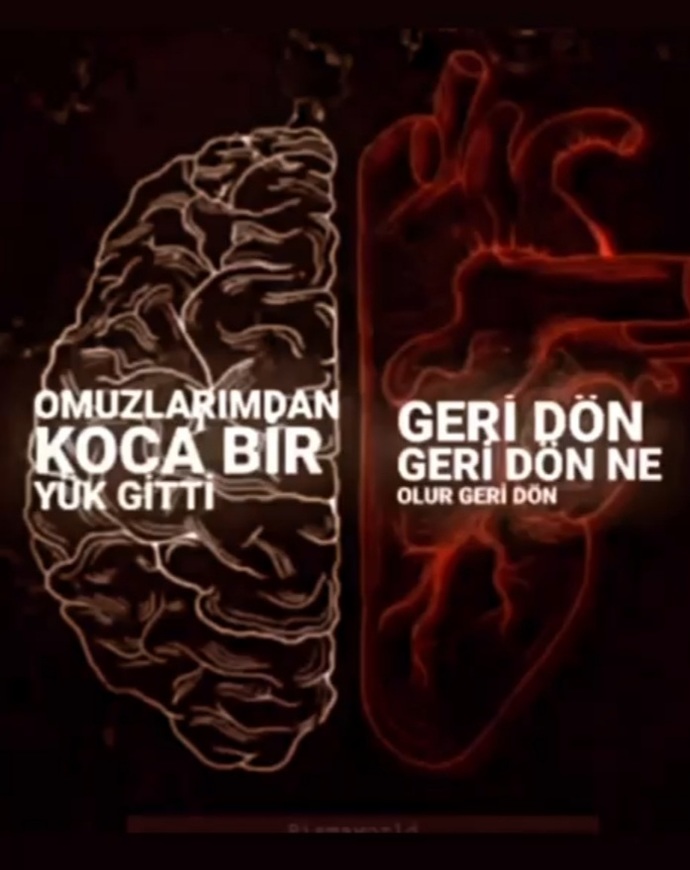 Mantığınız ve kalbiniz arasında kaldınız mı?