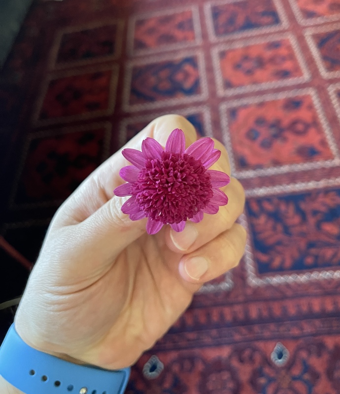 Şu an neye ihtiyacın var?