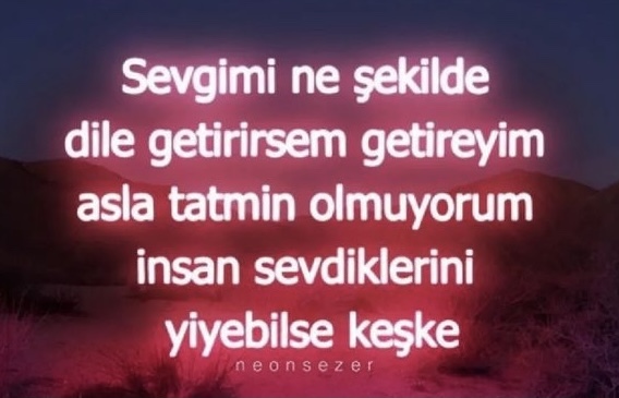 Görseldeki sözü hangi burç söylemiştir?