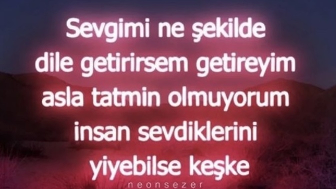 Görseldeki sözü hangi burç söylemiştir?