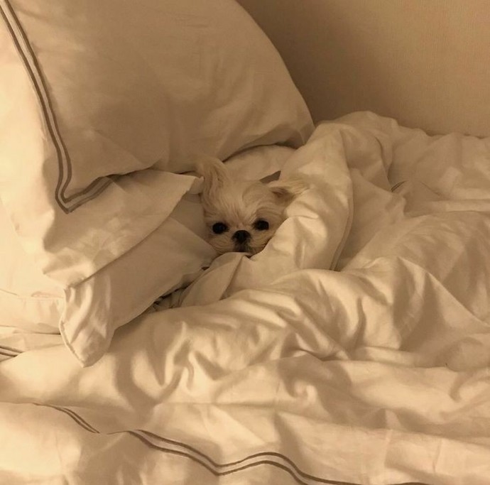 Mood