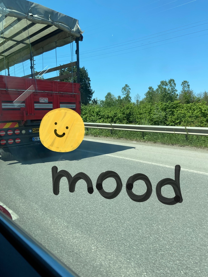 Bir başkadır benim memleketimmmm 🌳 nerde miyim? 🥳🥳🥳