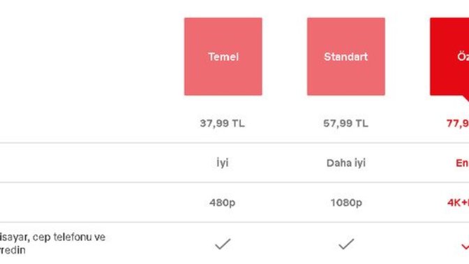 Netflix in Aylık Üyelik Ücretlerini Nasıl Değerlendiriyorsunuz?