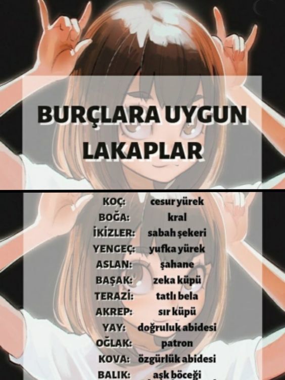 Burçlarınızın lakapları nedir?