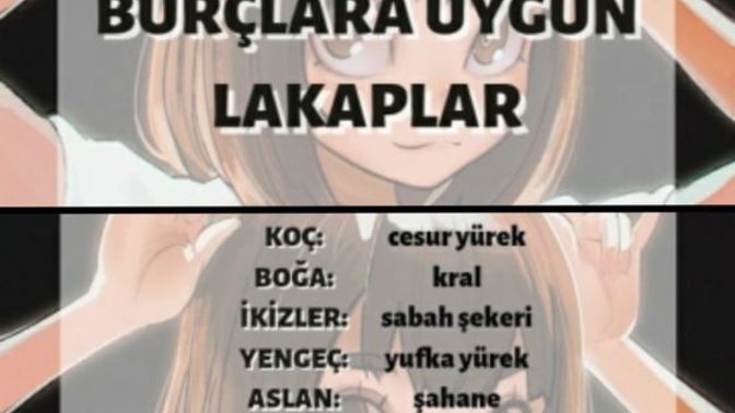 Burçlarınızın lakapları nedir?