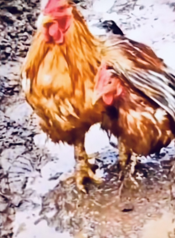 İlişkinizde sahiplenen ve güven veren biri olabiliyor musunuz?