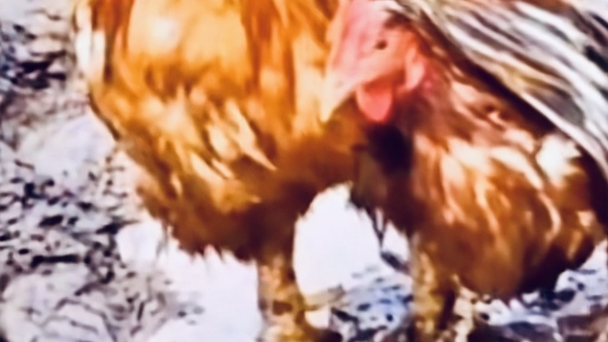 İlişkinizde sahiplenen ve güven veren biri olabiliyor musunuz?