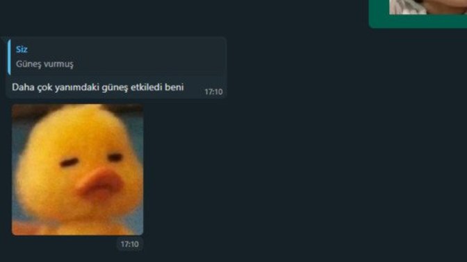 Karşı cinsi tavlama konusunda ne kadar iyisiniz?