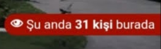 Son aldığınız ekran görüntüsünde ne var?