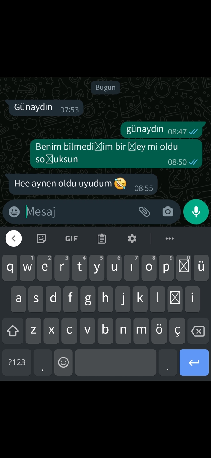 Ne yazsam sizce sevgilime bu mesajına?