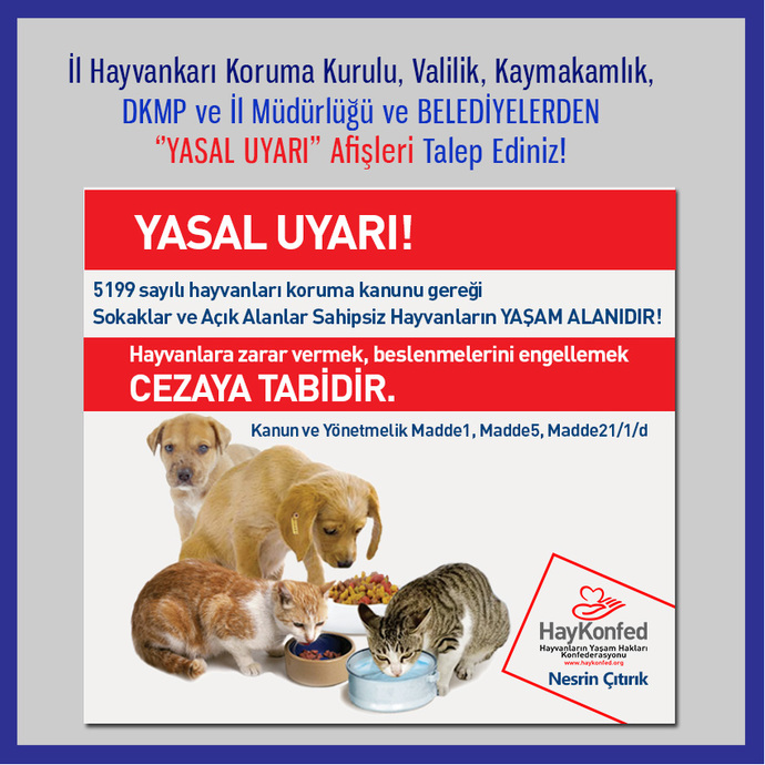 Sokak kedilerini beslediğim için benimle kavga ediyorlar, ne yapmalıyım?