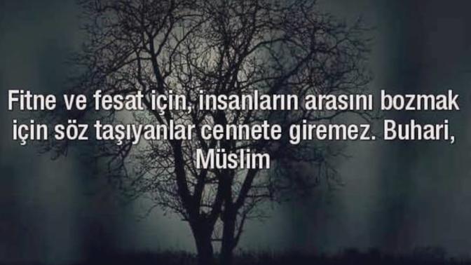 Bir insan başka dostunu dinleyip sizinle arasına mesafe koysaydı ne yapardınız?