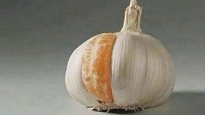 Uyum sağlamış olmanız oraya ait olduğunuz manasına gelir mi?