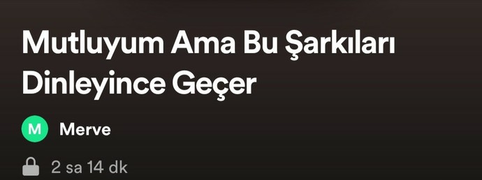 Kendinize özel playlist yapıyor musunuz?