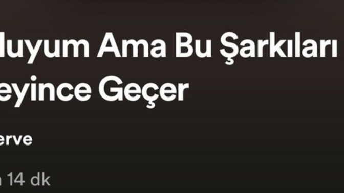 Kendinize özel playlist yapıyor musunuz?