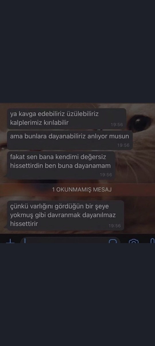Galerindeki 7. resim nedir?