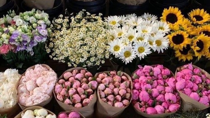 Sen mutlu ol diye seni mutlu eden kimseler var mı hayatında?