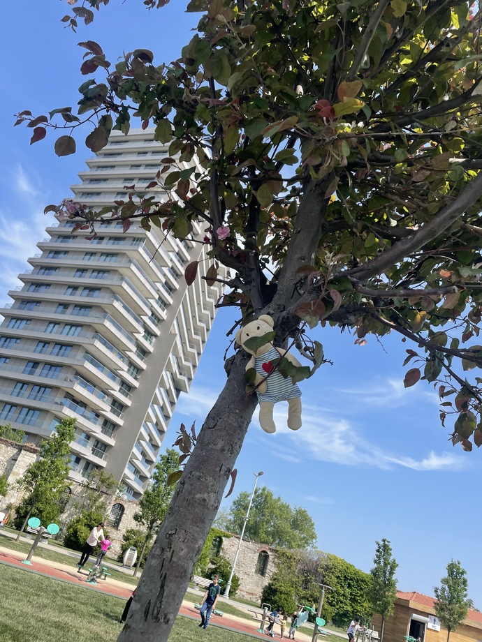 Buymuş