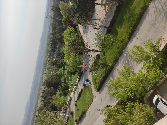 En son çektiğiniz fotoğrafı paylaşır mısınız?