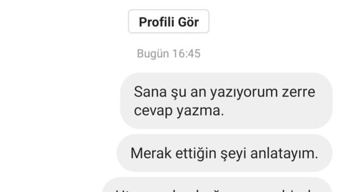 Ya lütfen bakın, çok mu kırıcı olmuş?