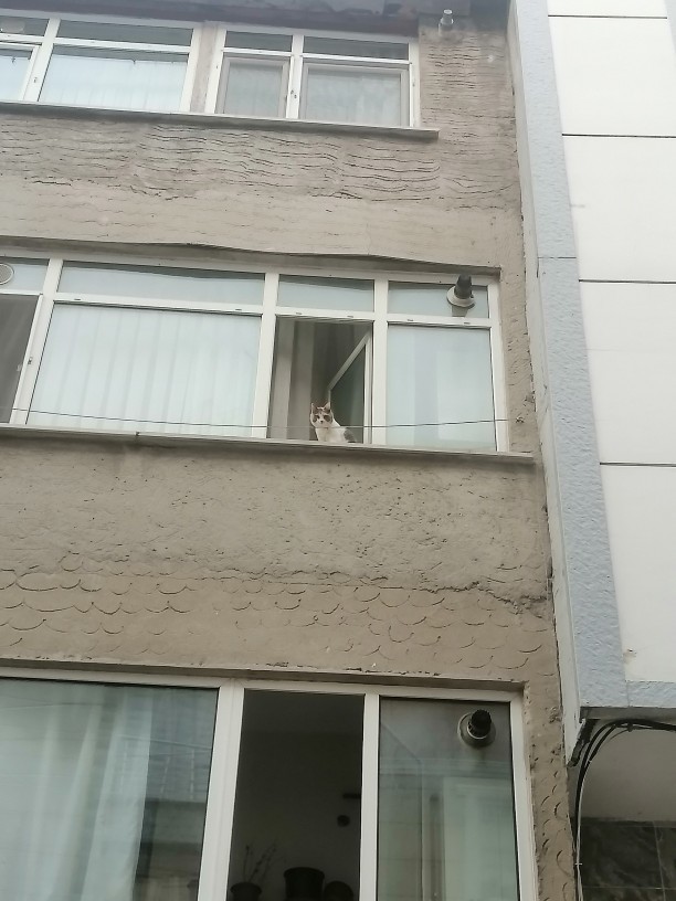 Storye atıcam bunu ne yazsam sizce?