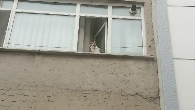 Storye atıcam bunu ne yazsam sizce?