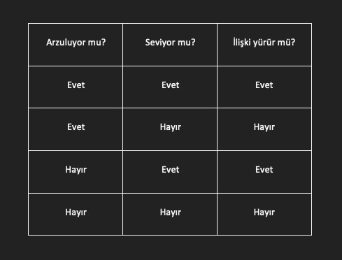Arzulayan erkek seviyor mudur?