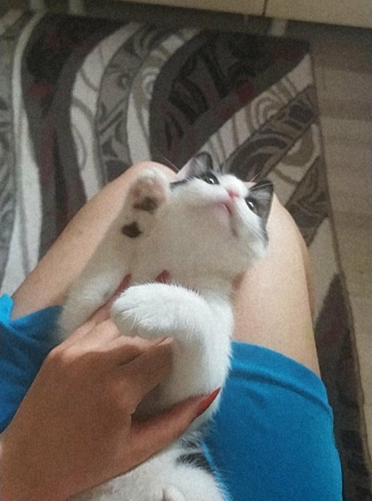 Bunu ısırayım mı?