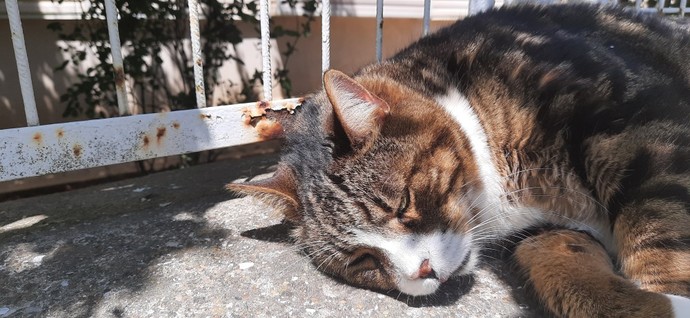 Günaydın demek isteğiniz biri var mi?
