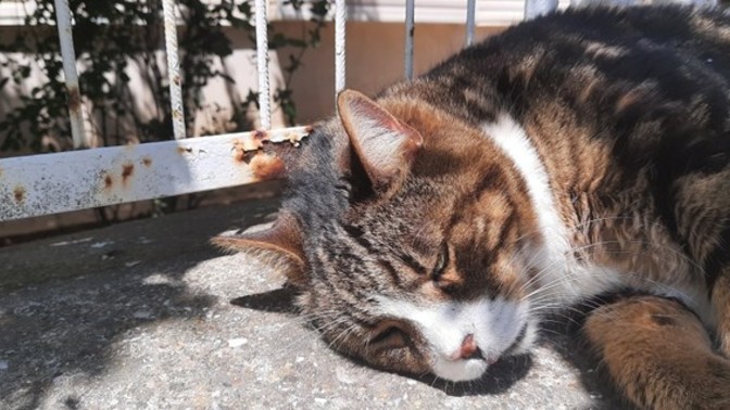 Günaydın demek isteğiniz biri var mi?