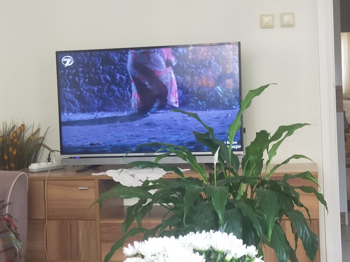 Valideye bir napaysun diyelim dedik Hint dizisi hipnozuna denk geldik ne kadar saçma olabilirsin diyerek izliyorum 😒
