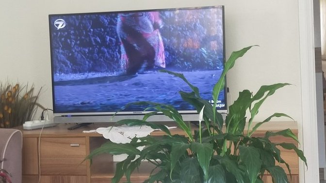 Televizyona yanlışlıkla bakınca sizi hipnoz eden yayinlar var mı?