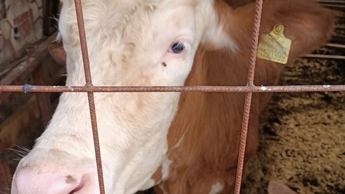 Mesleğinizin en güzel tarafi nedir?