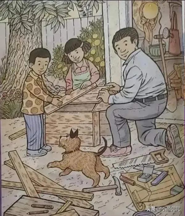 Resimdeki yarasa, ördek ve kelebeği bulabilecek misin?