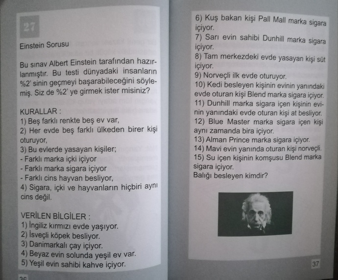 Resimdeki yarasa, ördek ve kelebeği bulabilecek misin?