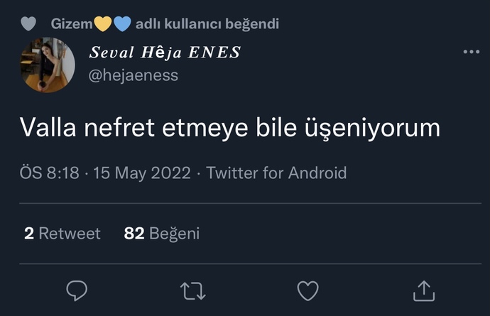 Nelere üşeniyorsun?