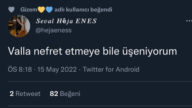 Nelere üşeniyorsun?