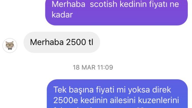 Sizi en son ne içtenlikle güldürdü?