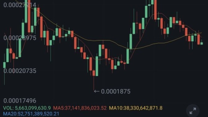 Luna 1 dolar olur mu?