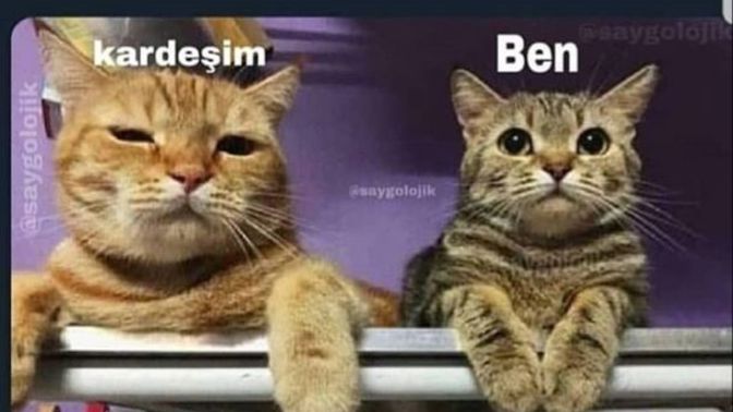 Hangi aile ferdinizle iyi anlaşırsınız?
