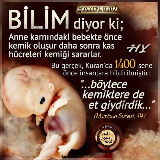 Kuran, Meninin Bel ile Kaburgalar Arasından Çıktığını Söylüyor. İftirasına Değinelim mi?