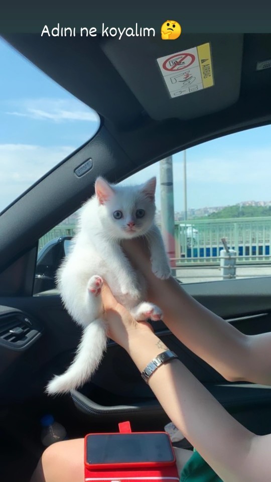 Kızımın adı ne olsun?