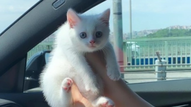 Kızımın adı ne olsun?