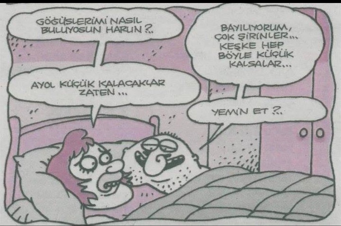 Küçük göğüs kötü mü, küçük göğüslü biri seksi olamaz mı?