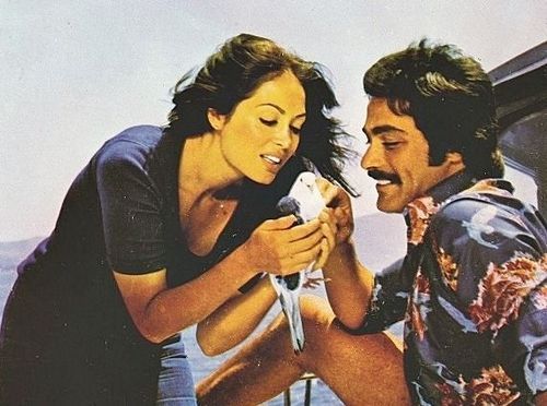 Yeşilçam filmlerini izler misiniz?