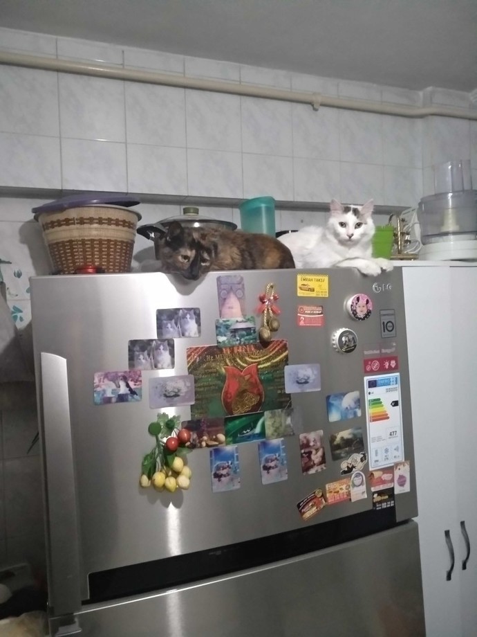 Kendinizi rahat hissettiğiniz yer neresi?