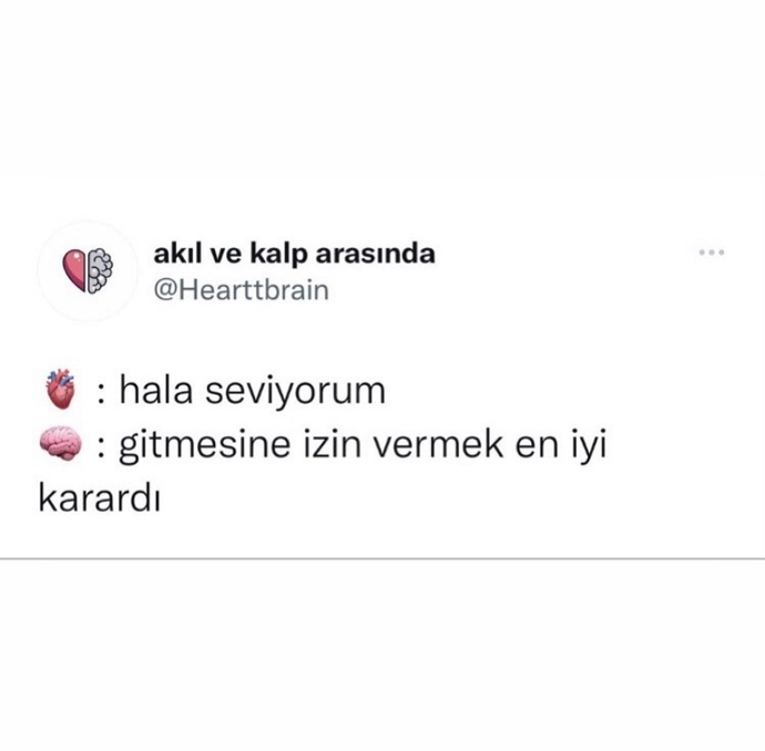 Galerinizdeki son fotoğraf ne?